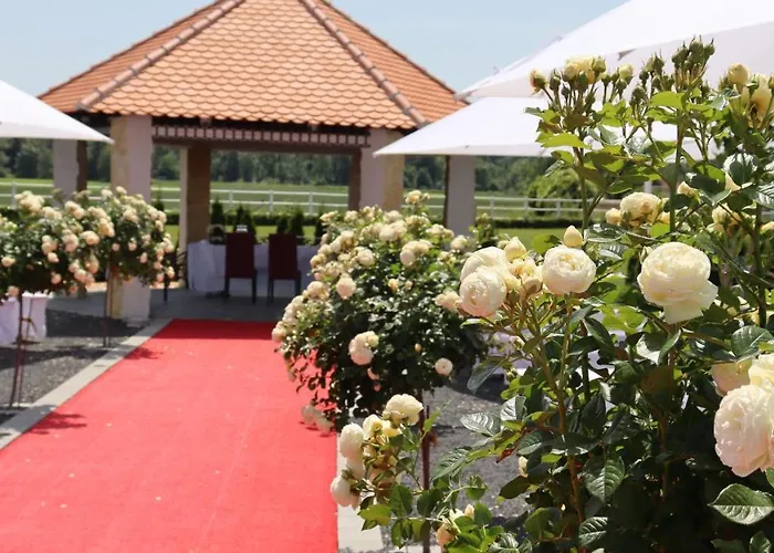 Landsteakhaus בית הארחה Marxheim