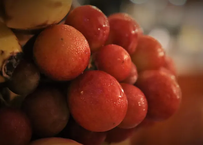 בית הארחה Landsteakhaus